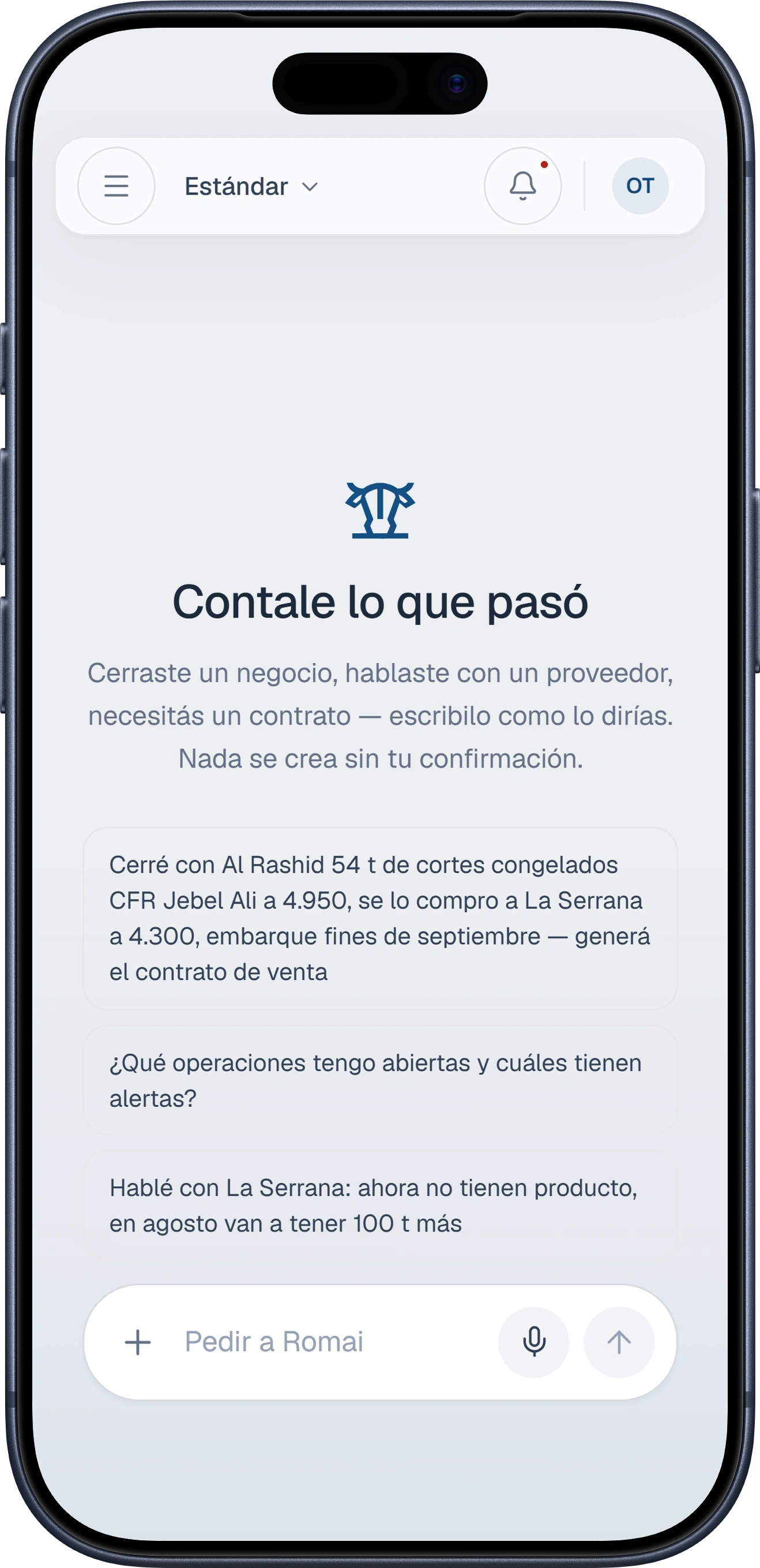 Romai en un iPhone: el chat vacío, listo para contarle la operación.